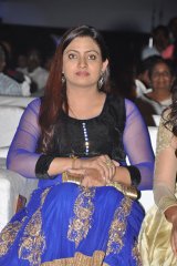 Dikkulu Choodaku Ramayya Movie Audio Launch